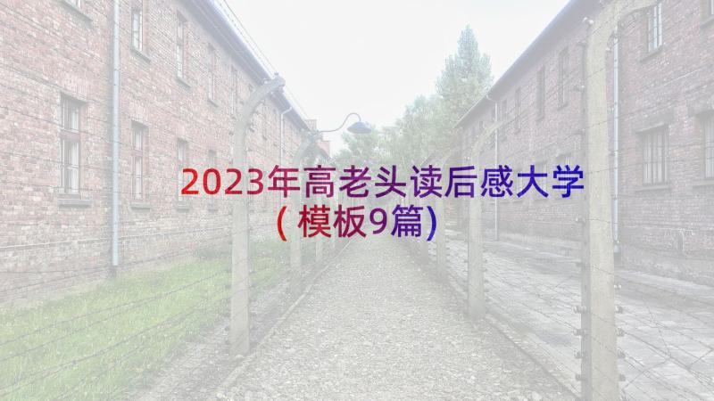 2023年高老头读后感大学(模板9篇)