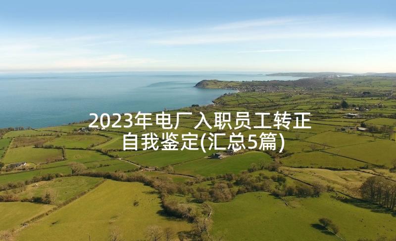 2023年电厂入职员工转正自我鉴定(汇总5篇)