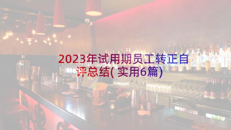 2023年试用期员工转正自评总结(实用6篇)