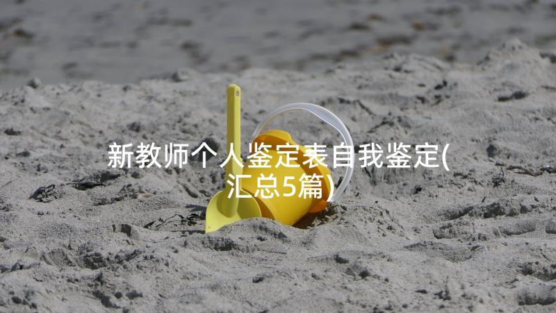 新教师个人鉴定表自我鉴定(汇总5篇)