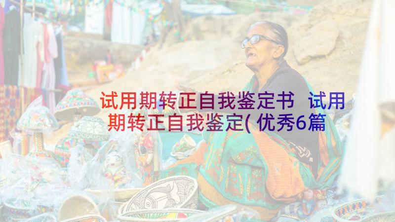 试用期转正自我鉴定书 试用期转正自我鉴定(优秀6篇)