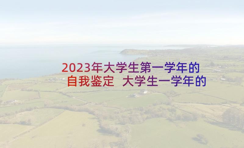 2023年大学生第一学年的自我鉴定 大学生一学年的自我鉴定(优秀5篇)