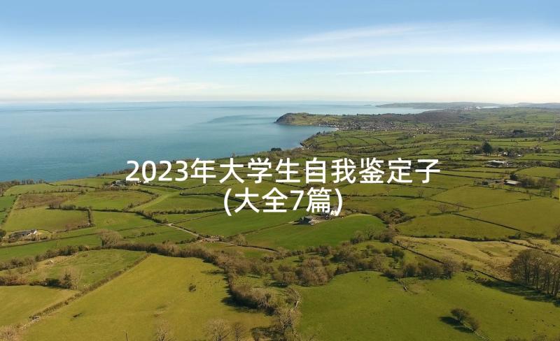 2023年大学生自我鉴定子(大全7篇)