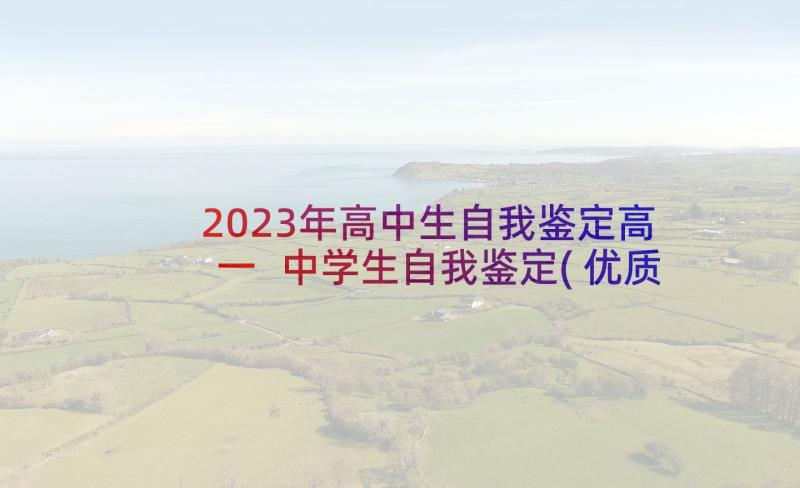 2023年高中生自我鉴定高一 中学生自我鉴定(优质5篇)