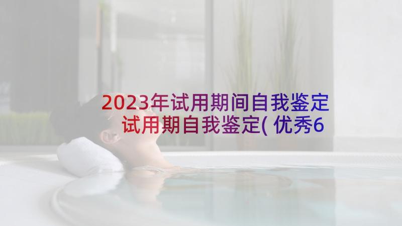 2023年试用期间自我鉴定 试用期自我鉴定(优秀6篇)