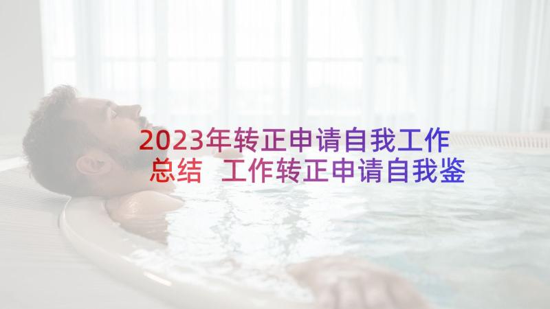 2023年转正申请自我工作总结 工作转正申请自我鉴定(通用6篇)