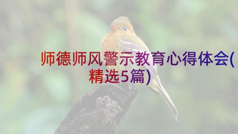 师德师风警示教育心得体会(精选5篇)