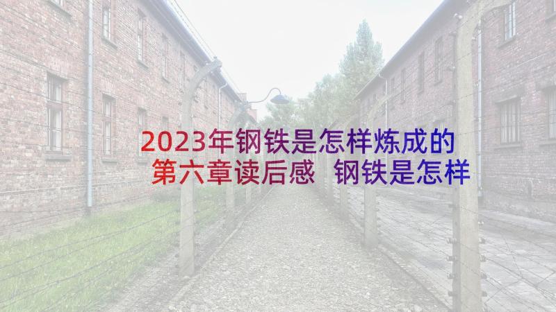 2023年钢铁是怎样炼成的第六章读后感 钢铁是怎样炼成的读后感(实用9篇)