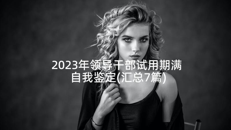 2023年领导干部试用期满自我鉴定(汇总7篇)