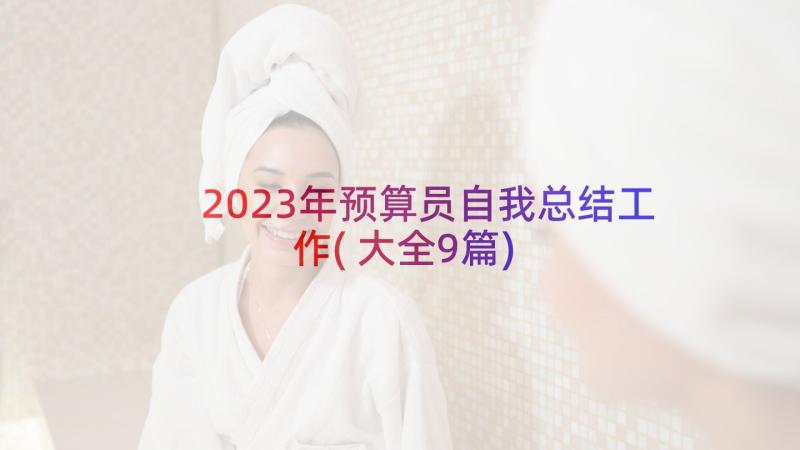 2023年预算员自我总结工作(大全9篇)