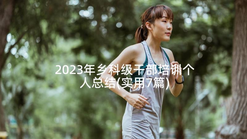 2023年乡科级干部培训个人总结(实用7篇)