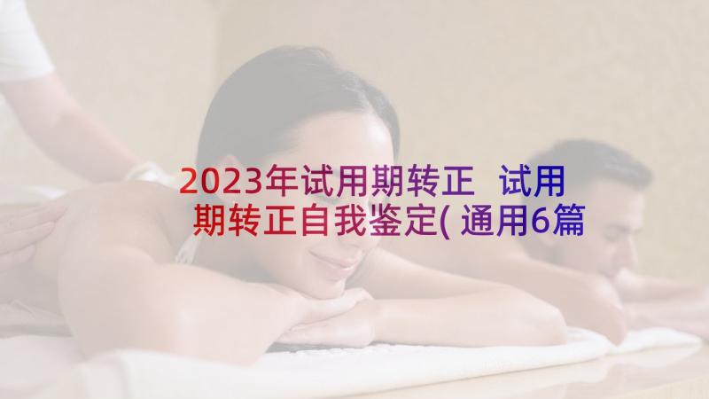 2023年试用期转正 试用期转正自我鉴定(通用6篇)