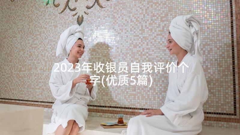 2023年收银员自我评价个字(优质5篇)