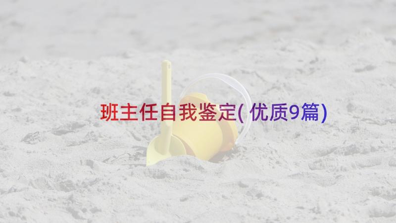 班主任自我鉴定(优质9篇)