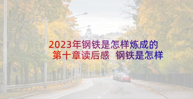 2023年钢铁是怎样炼成的第十章读后感 钢铁是怎样炼成的读后感(精选5篇)