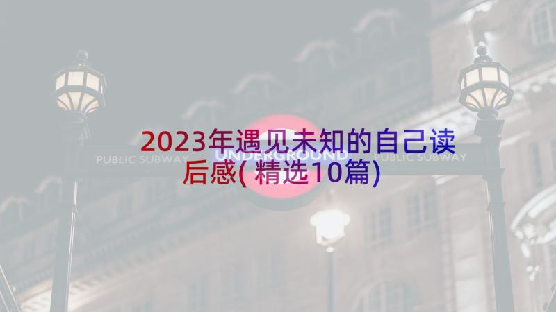 2023年遇见未知的自己读后感(精选10篇)