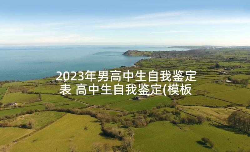 2023年男高中生自我鉴定表 高中生自我鉴定(模板9篇)