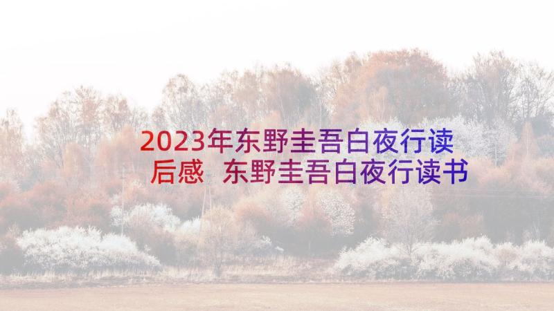 2023年东野圭吾白夜行读后感 东野圭吾白夜行读书心得体会(精选5篇)