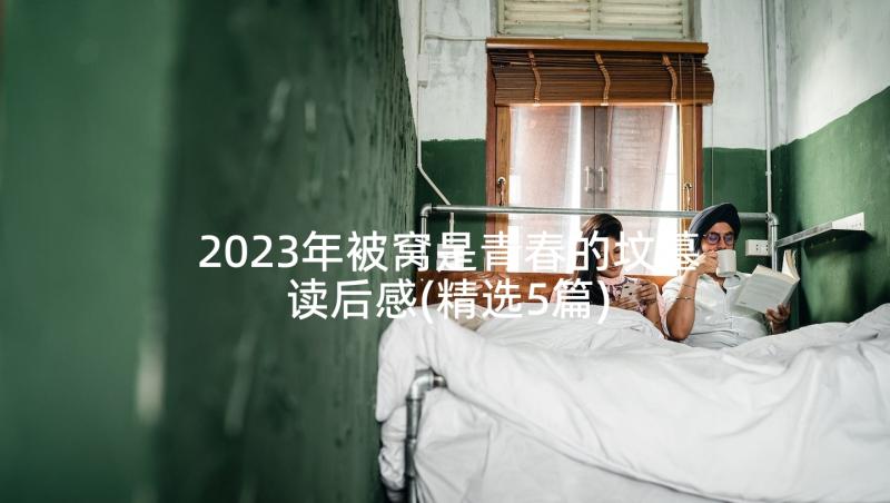 2023年被窝是青春的坟墓读后感(精选5篇)