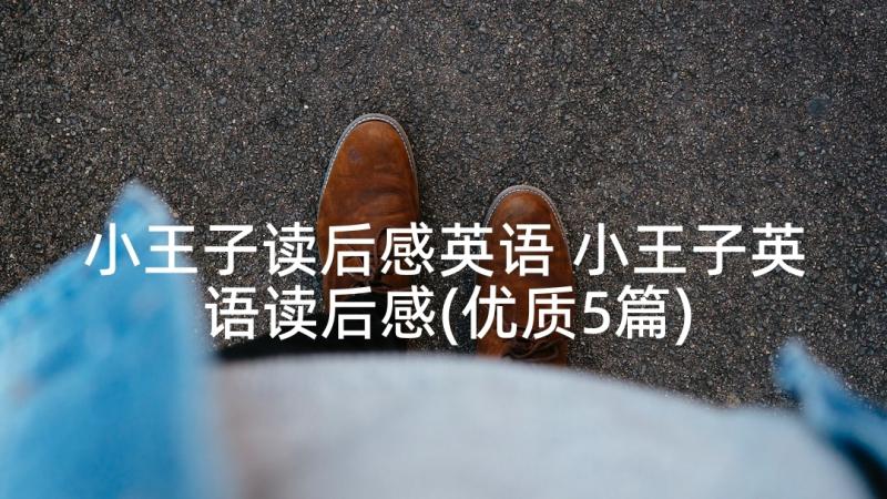 小王子读后感英语 小王子英语读后感(优质5篇)