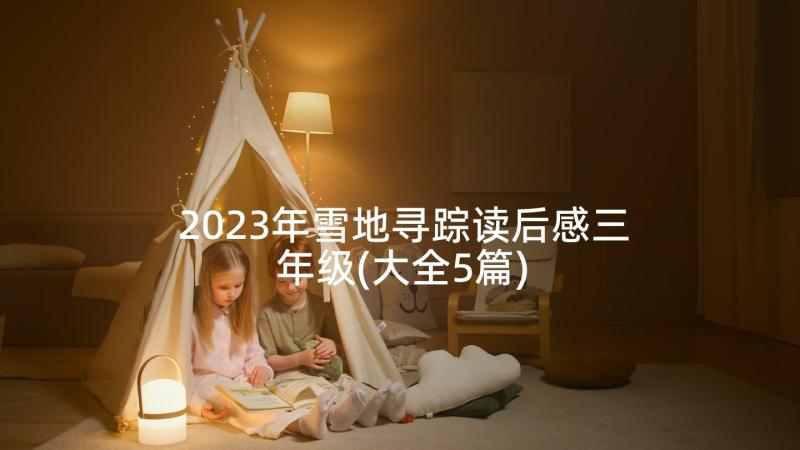 2023年雪地寻踪读后感三年级(大全5篇)