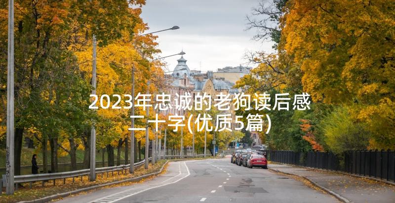 2023年忠诚的老狗读后感二十字(优质5篇)