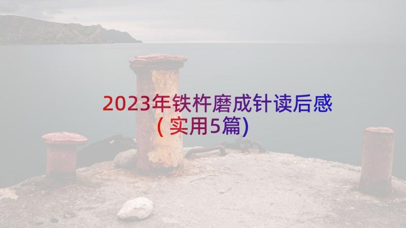 2023年铁杵磨成针读后感(实用5篇)