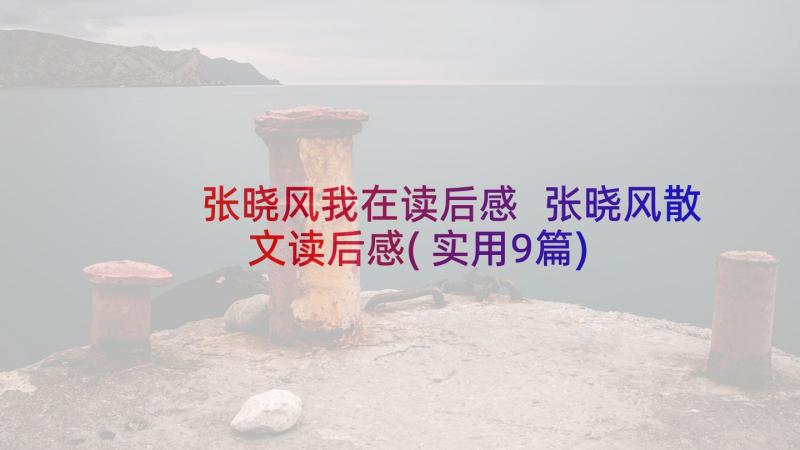 张晓风我在读后感 张晓风散文读后感(实用9篇)