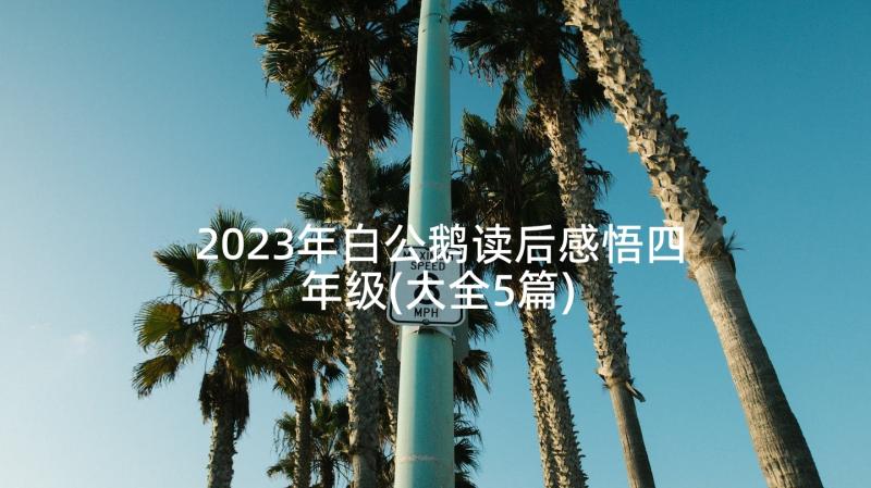 2023年白公鹅读后感悟四年级(大全5篇)