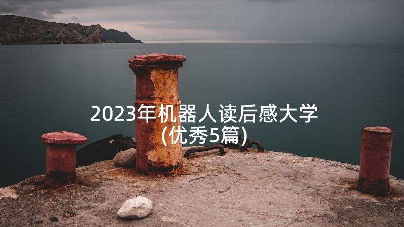 2023年机器人读后感大学(优秀5篇)