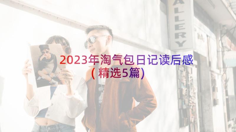 2023年淘气包日记读后感(精选5篇)