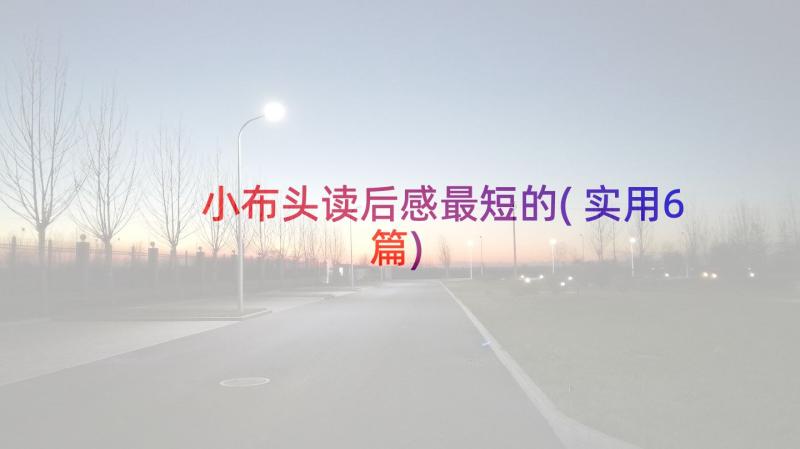 小布头读后感最短的(实用6篇)