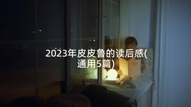 2023年皮皮鲁的读后感(通用5篇)