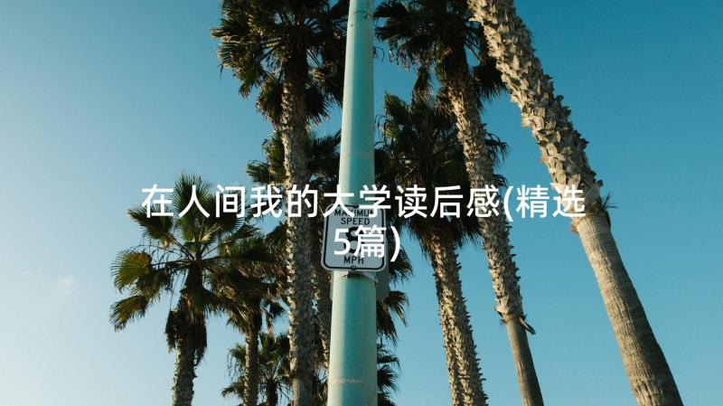 在人间我的大学读后感(精选5篇)