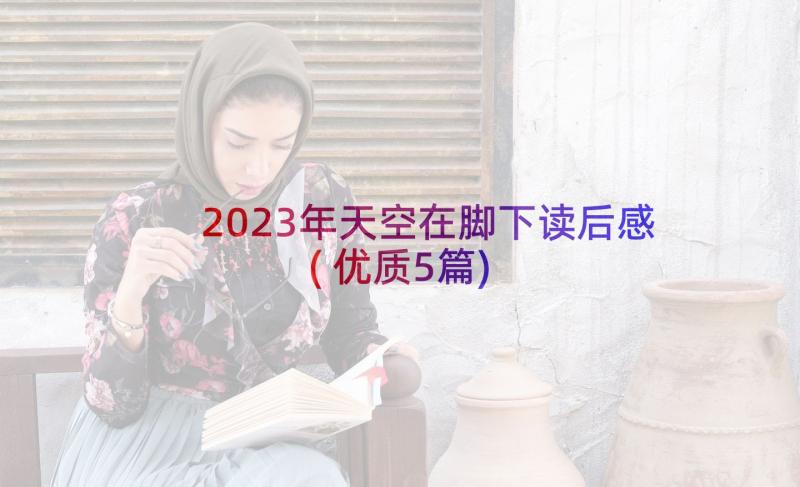 2023年天空在脚下读后感(优质5篇)