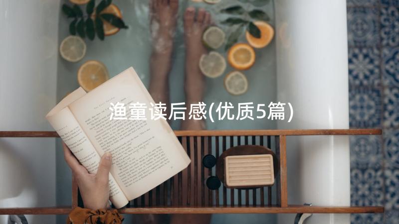 渔童读后感(优质5篇)