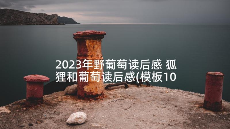 2023年野葡萄读后感 狐狸和葡萄读后感(模板10篇)