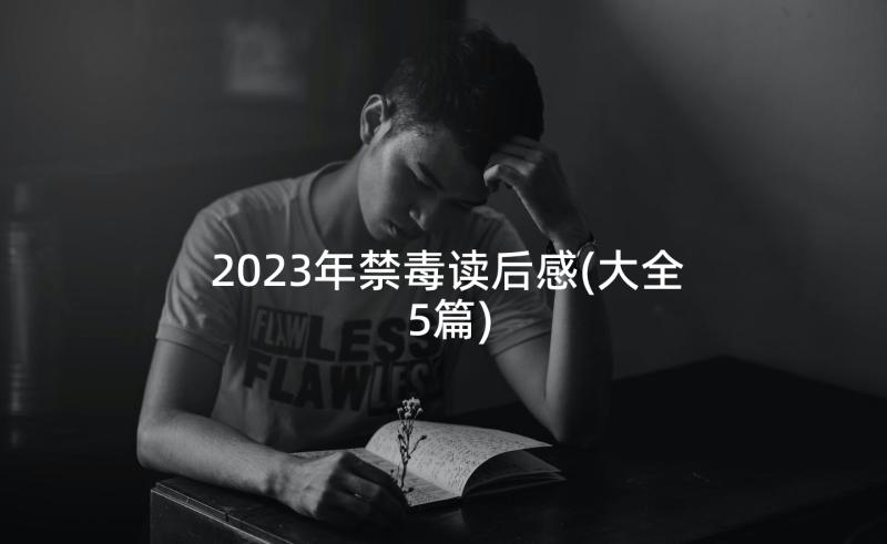 2023年禁毒读后感(大全5篇)