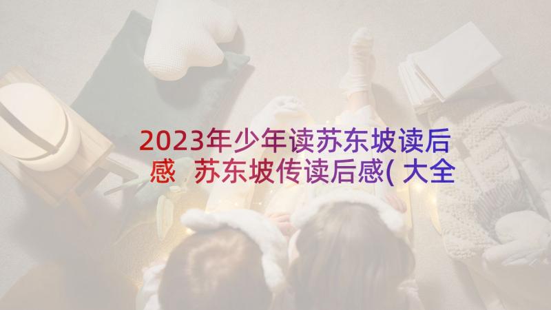 2023年少年读苏东坡读后感 苏东坡传读后感(大全6篇)