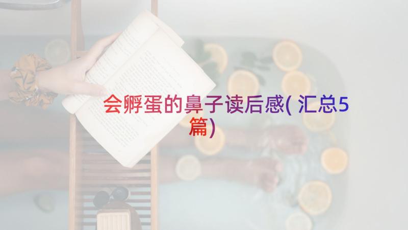 会孵蛋的鼻子读后感(汇总5篇)