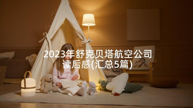 2023年舒克贝塔航空公司读后感(汇总5篇)