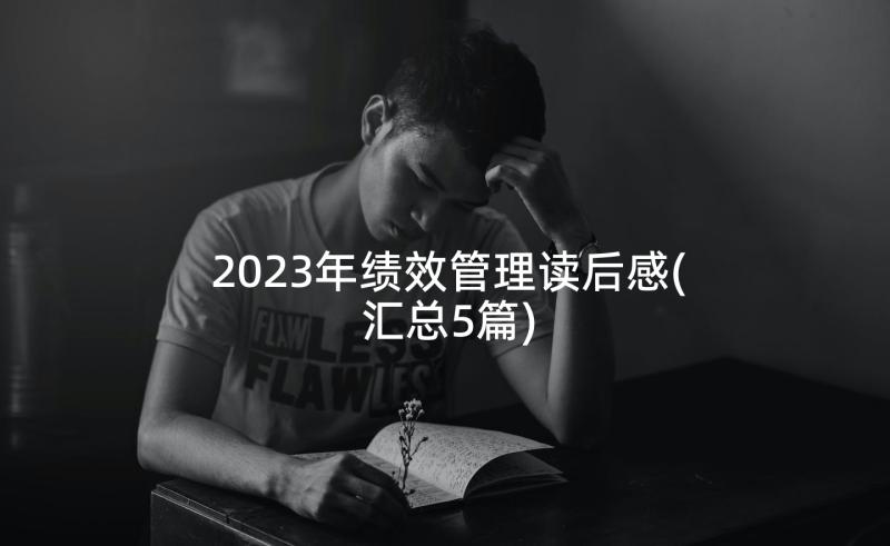 2023年绩效管理读后感(汇总5篇)