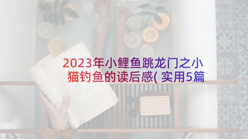 2023年小鲤鱼跳龙门之小猫钓鱼的读后感(实用5篇)