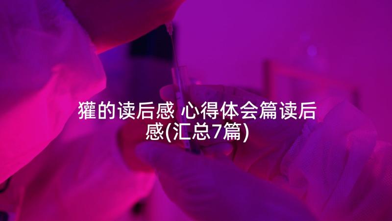 獾的读后感 心得体会篇读后感(汇总7篇)