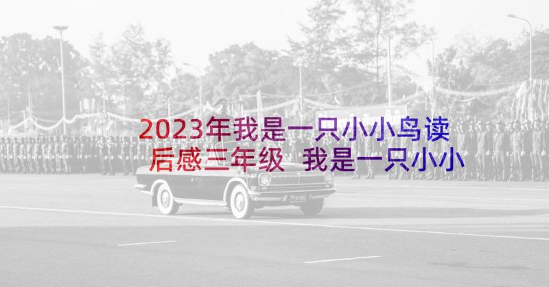 2023年我是一只小小鸟读后感三年级 我是一只小小鸟(优秀8篇)