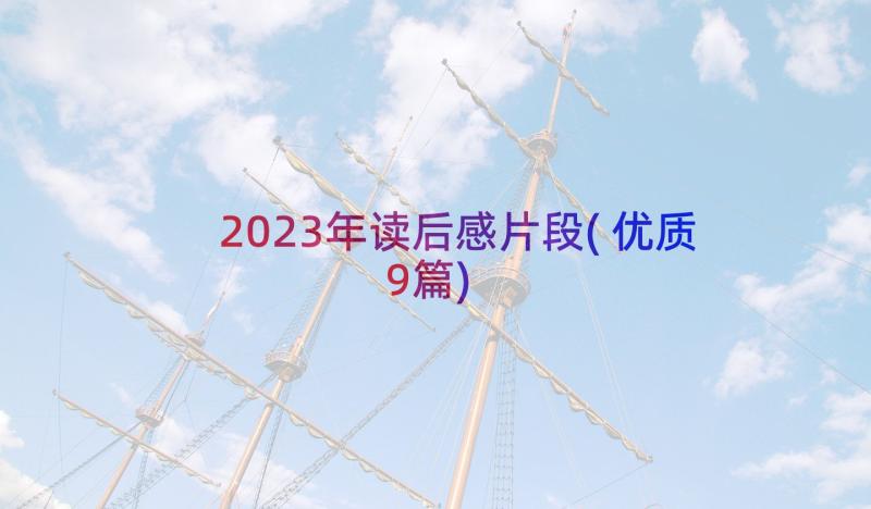 2023年读后感片段(优质9篇)