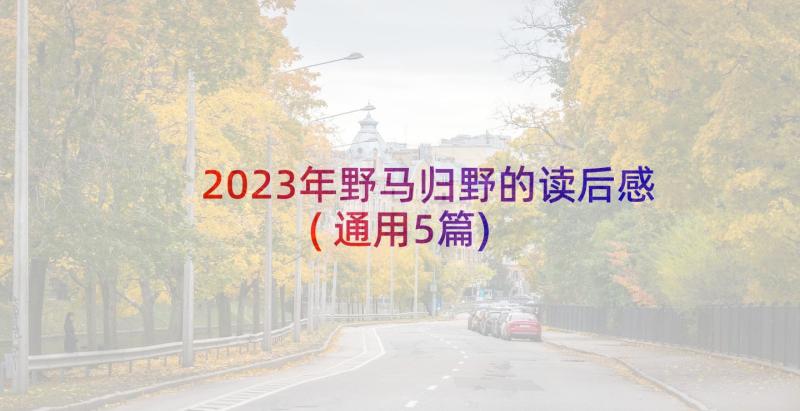 2023年野马归野的读后感(通用5篇)