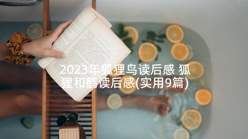 2023年狐狸鸟读后感 狐狸和鹤读后感(实用9篇)