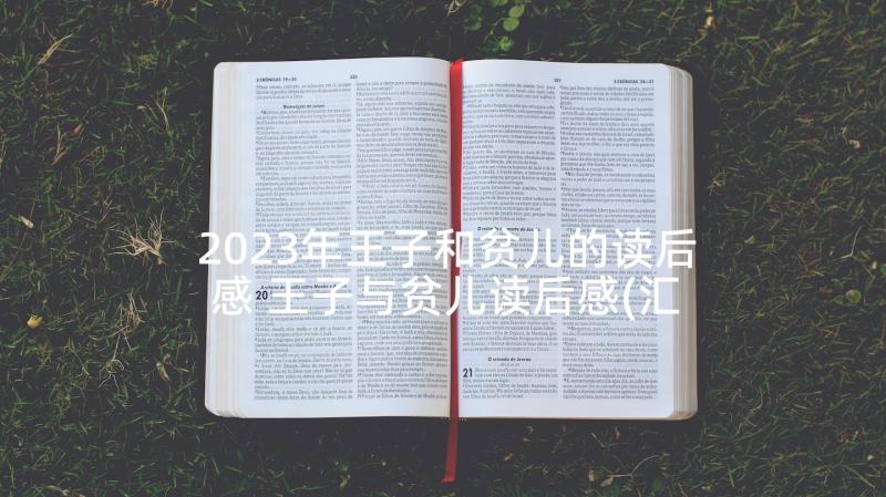 2023年王子和贫儿的读后感 王子与贫儿读后感(汇总6篇)