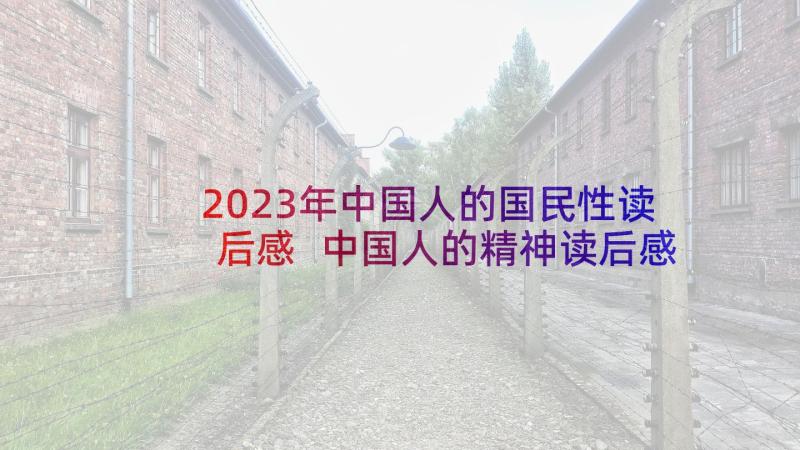 2023年中国人的国民性读后感 中国人的精神读后感(优秀5篇)